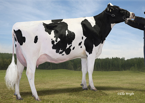 Farnear-TBR-BH Vegas-web500